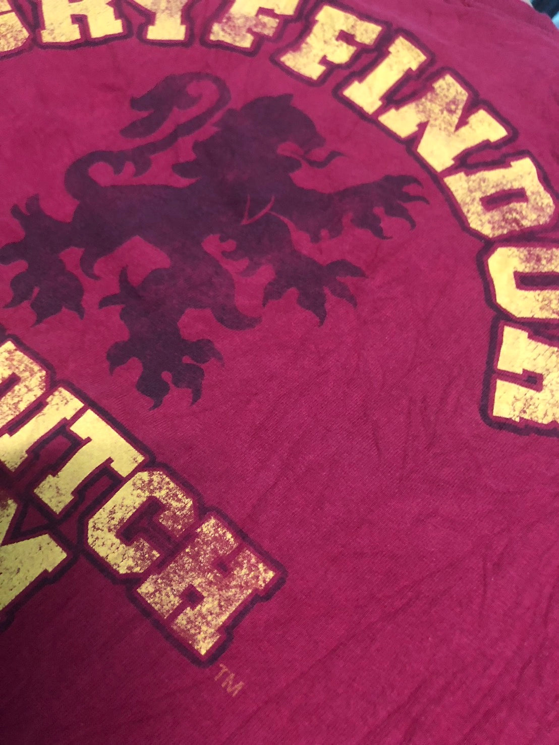 Gryfindor of harry potter
