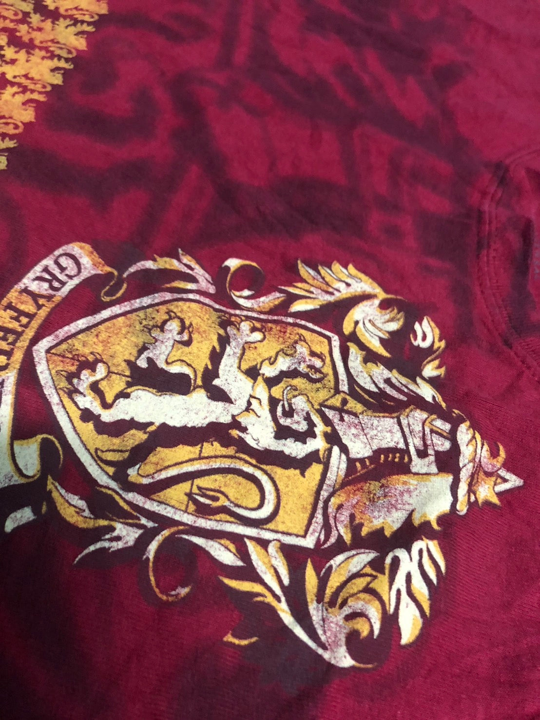 Gryfindor of harry potter